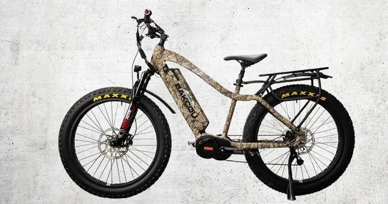 How much does Bakcou electric bicycle cost?