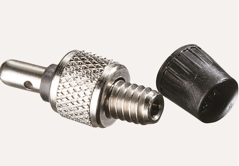 What are Dunlop Valves?