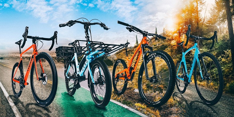 Experience in choosing to buy a suitable mountain bike