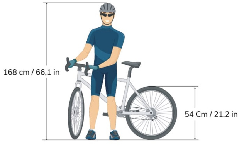 What Size Person Fits A 54Cm Bike?